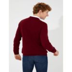 ژاکت مردانه یو اس پولو مدل 50252133-VR014