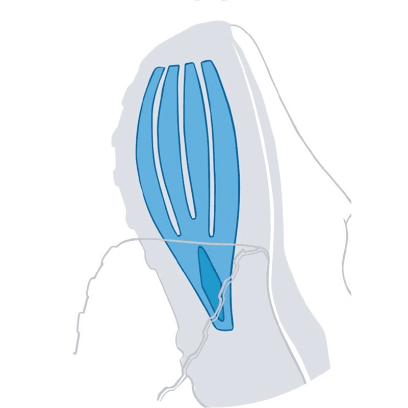 کفش مخصوص دویدن مردانه ساکنی مدل Triumph 20 کفش مخصوص دویدن مردانه ساکنی مدل Triumph 20