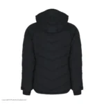 کاپشن پر The North Face مدل Impendor Pro Down Jacket