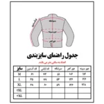 کاپشن پر The North Face مدل Impendor Pro Down Jacket